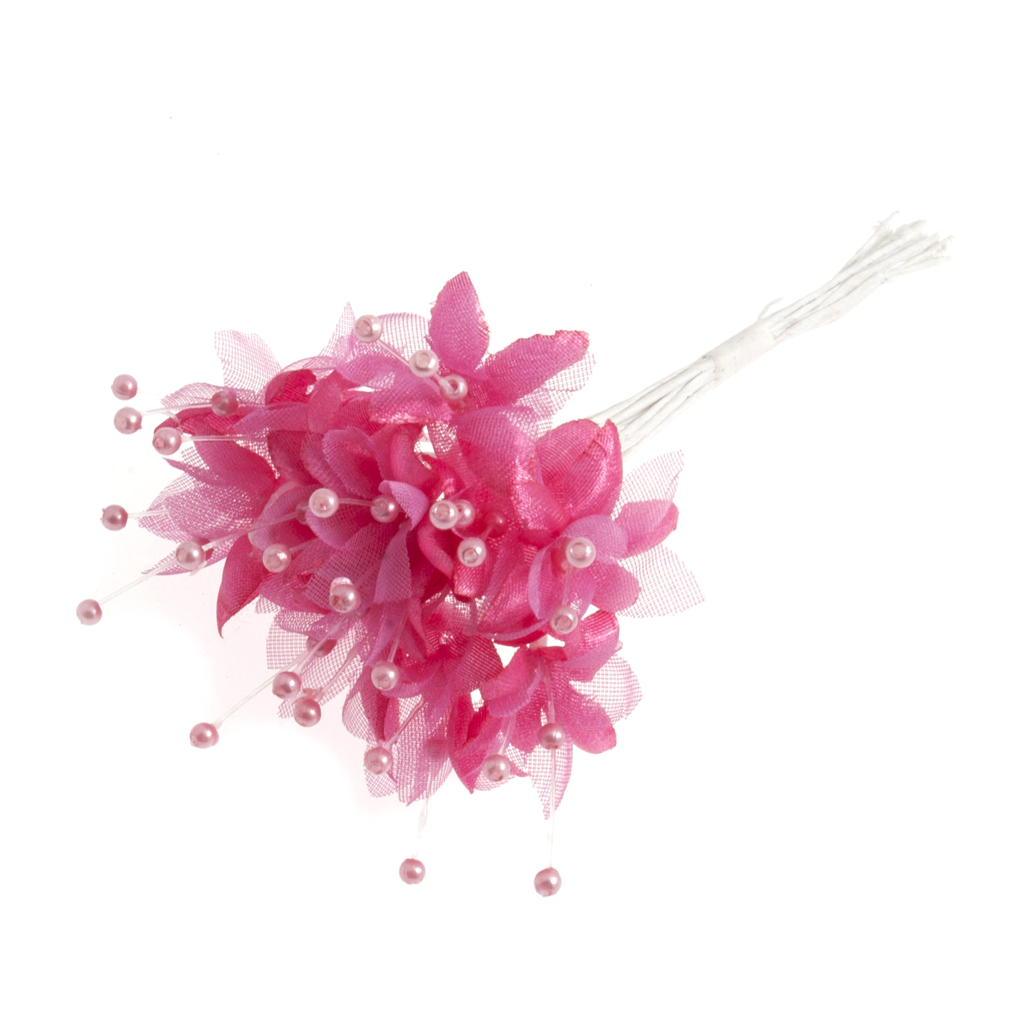 Baby's Breath: Pearled: Fuchsia - Occasions -- Bulk - Groves and Banks