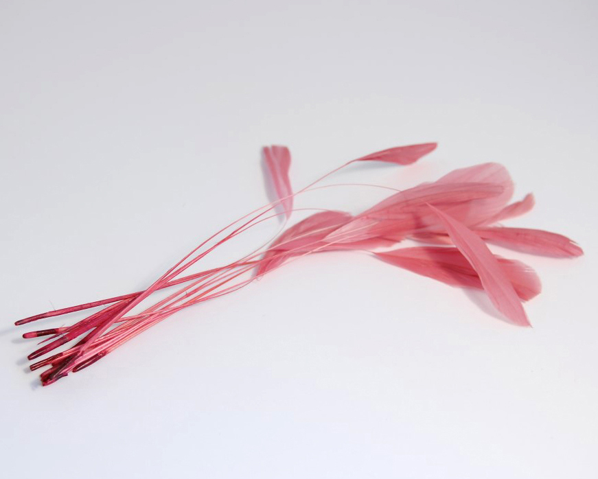 Picture of Feathers: Diamond Cut: Pack of 12: Cerise