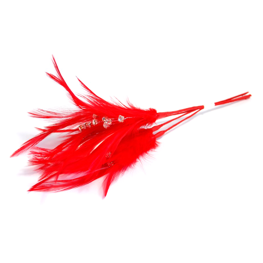 Feathers: Diamante: Pack of 6: Red - Occasions -- Bulk - Groves and Banks