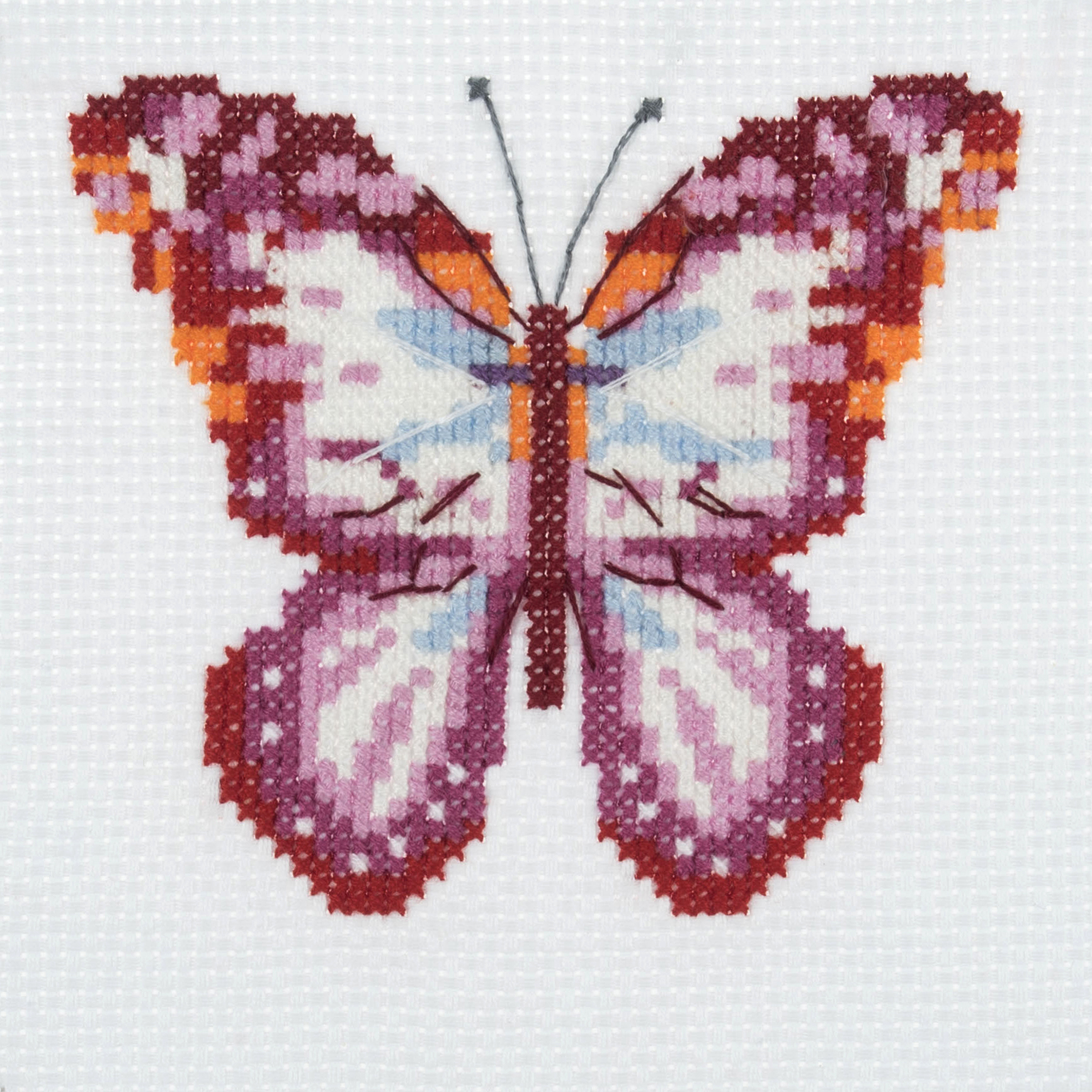 Counted Cross Stitch Kit: Butterfly - Trimits - Groves and Banks