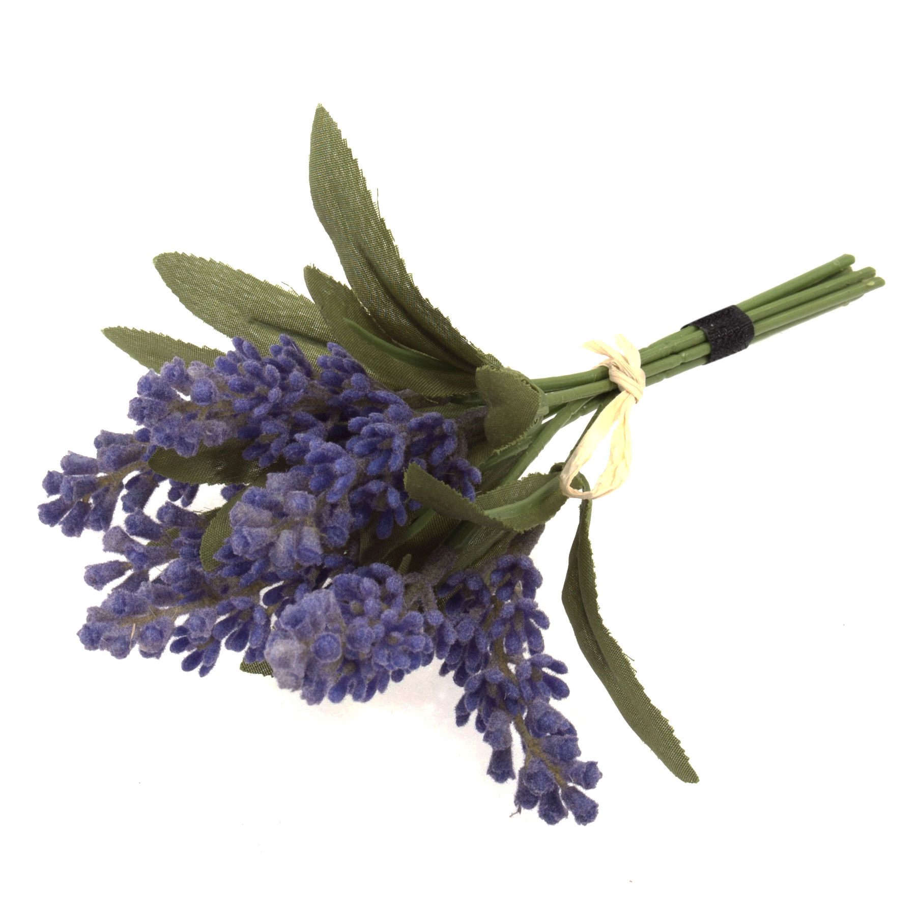 Picture of Flowers: Lavender Bunch x 7 Stems with Raffia Tie: 17cm