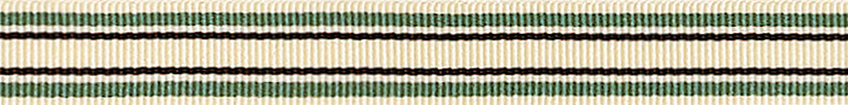 Picture of Ribbon: Deckchair Stripe: 4m x 10mm: Green