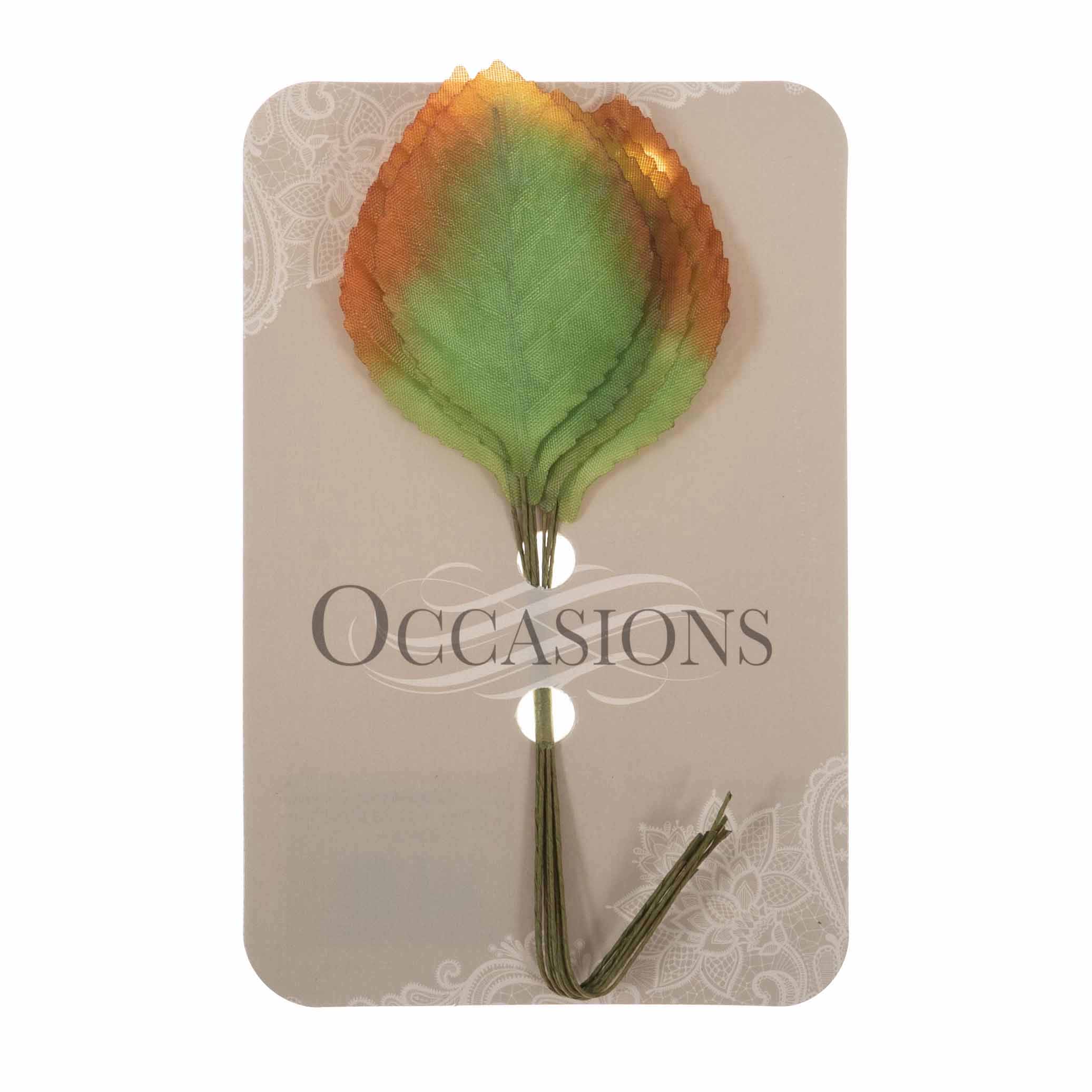 Picture of Leaves: Rose: Dried: 60mm: Pack of 8: Green