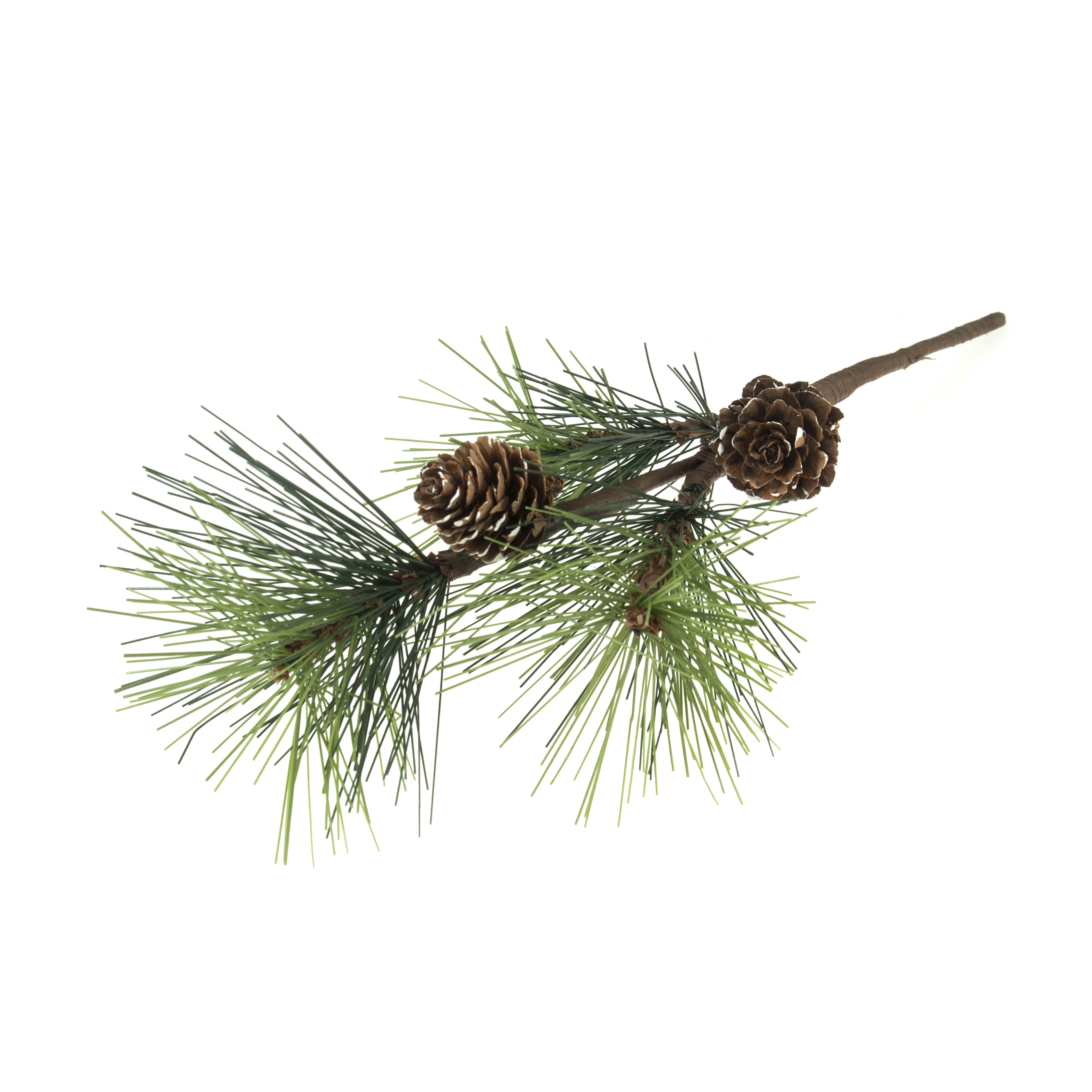 Picture of Branch: Scotch Pine: 1 Piece: 25cm