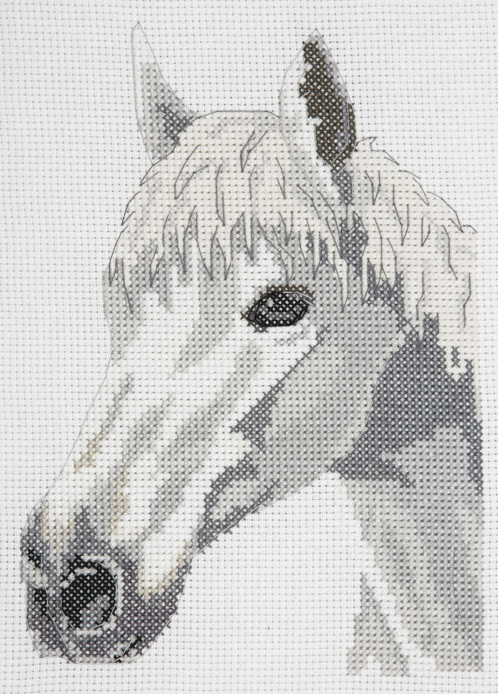 Picture of Counted Cross Stitch Kit: Starter: White Beauty: Horse
