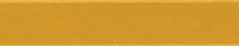 Picture of Ribbon: Velvet: 5m x 9mm: Gold