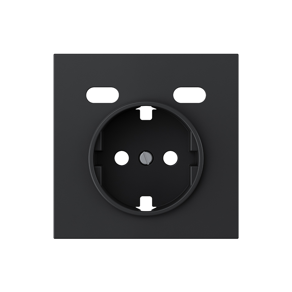 Plaque pour schuko + 2 USB C+C noir mat Simon 360