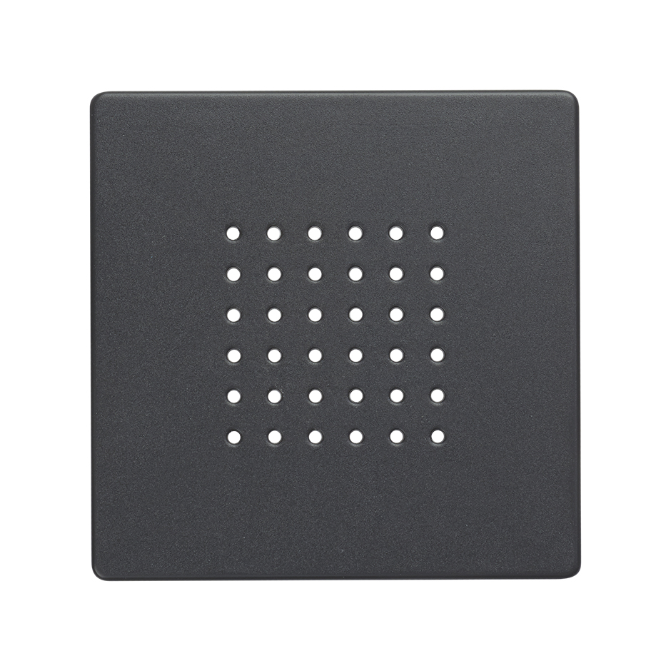 Plaque pour sonnerie-haut-parleur 2W graphite Simon 82