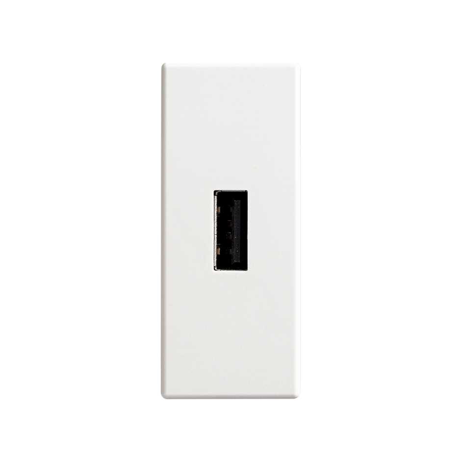 Conector USB para datos de 1 módulo marfil Simon 82