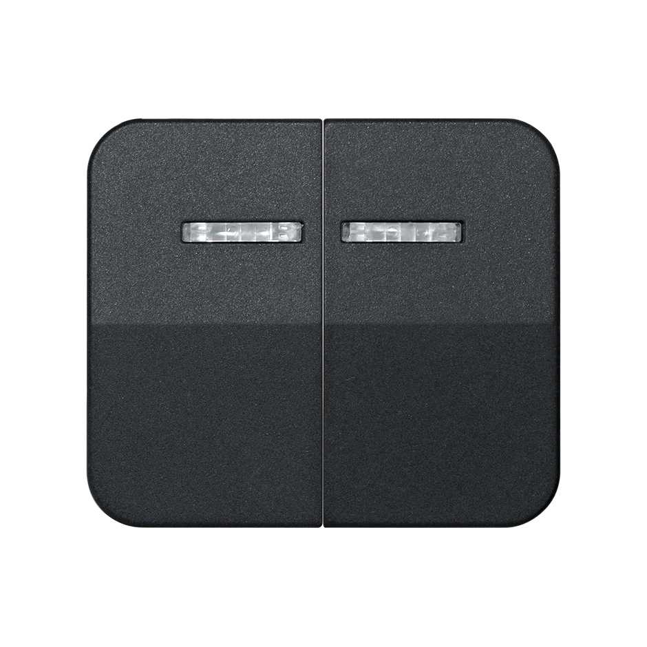 Double rocker with viewer for switches graphite Simon 75