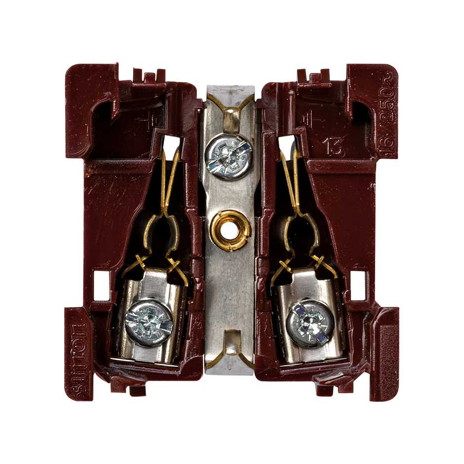 German socket outlet 16A 250V~ with safety device and screw terminal connection