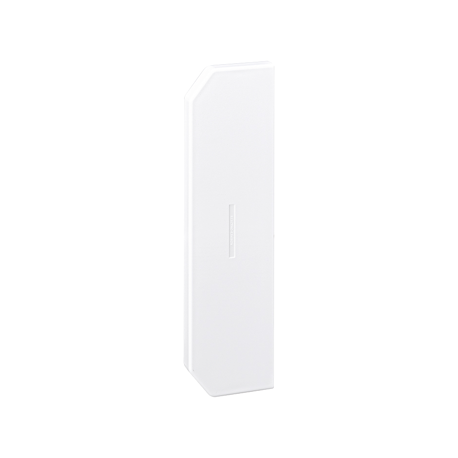 Accesorio tapa final para canal Cablomax 210x55mm de PVC