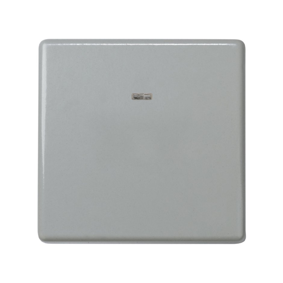 Double-pole switch 16AX 250V~ with built-in pilot light and screw terminal connection system grey Simon 27 Play