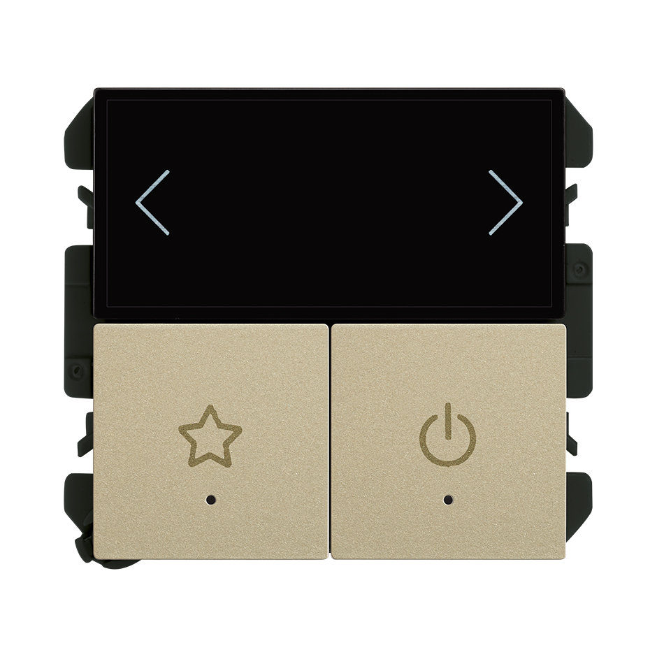 iO Multimaster keypad 6 experiences champagne Simon 270