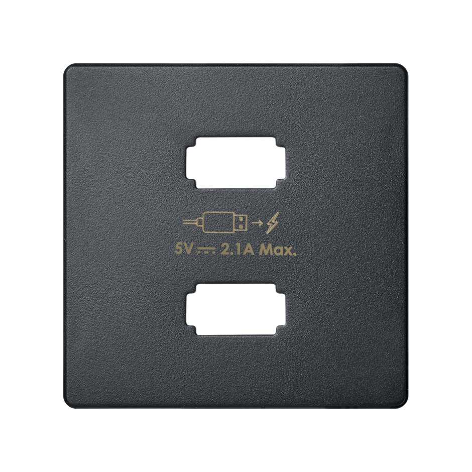 Plate for USB charger 2 connectors 5V DC 2.1 A Type A graphite Simon 82