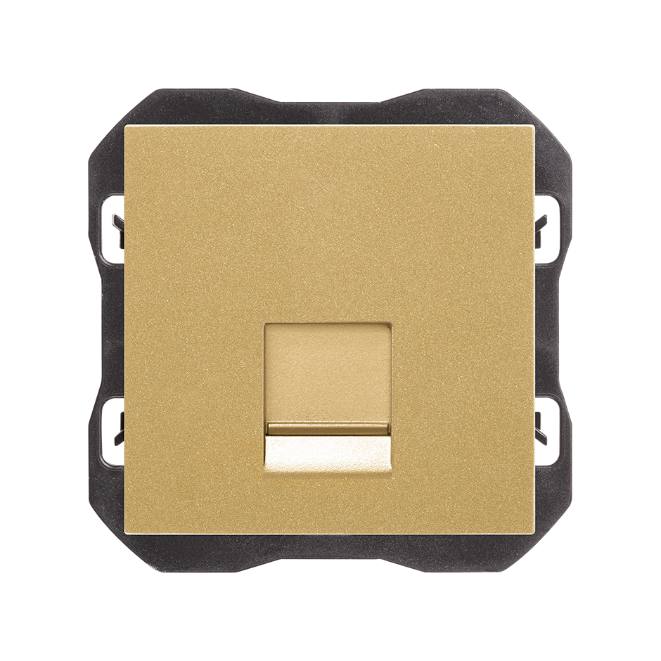 Tapa de voz y datos plana con guardapolvo para 1 conector RJ45 oro Simon 270