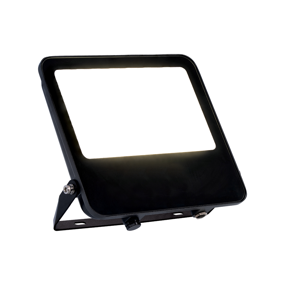 Proyector 889 50W 4000K