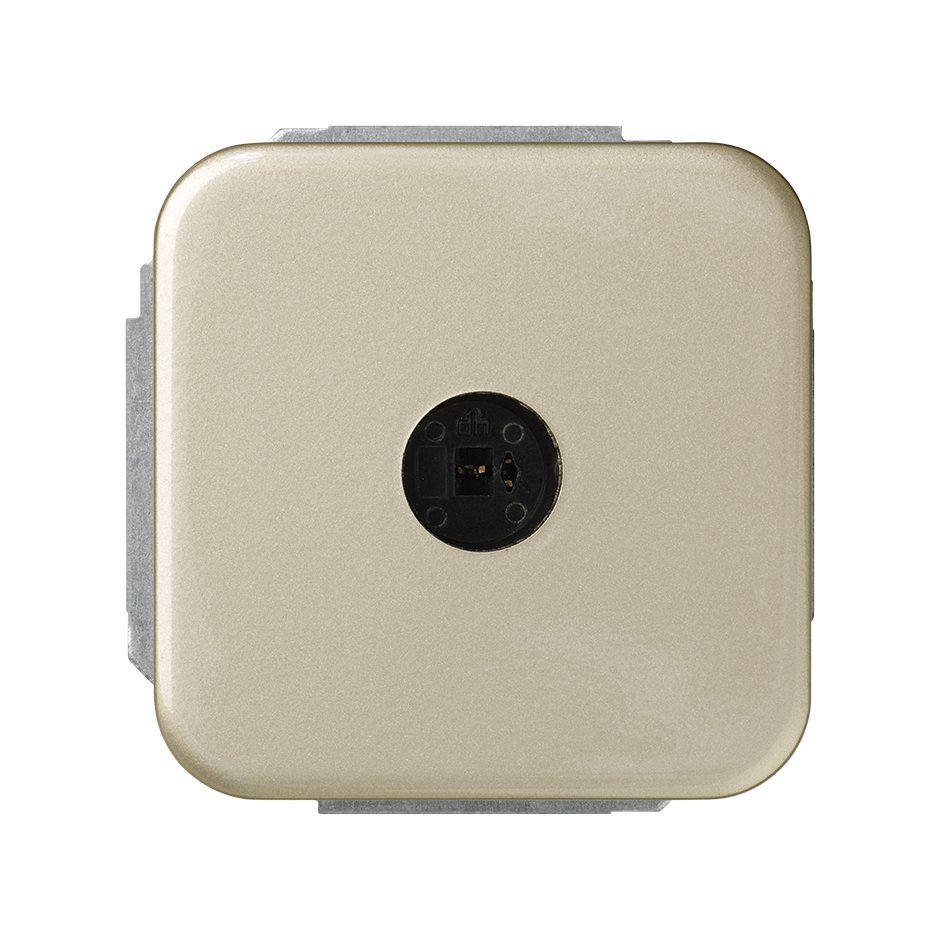 Input for mono speaker, complies with standard DIN 41529 champagne Simon 31
