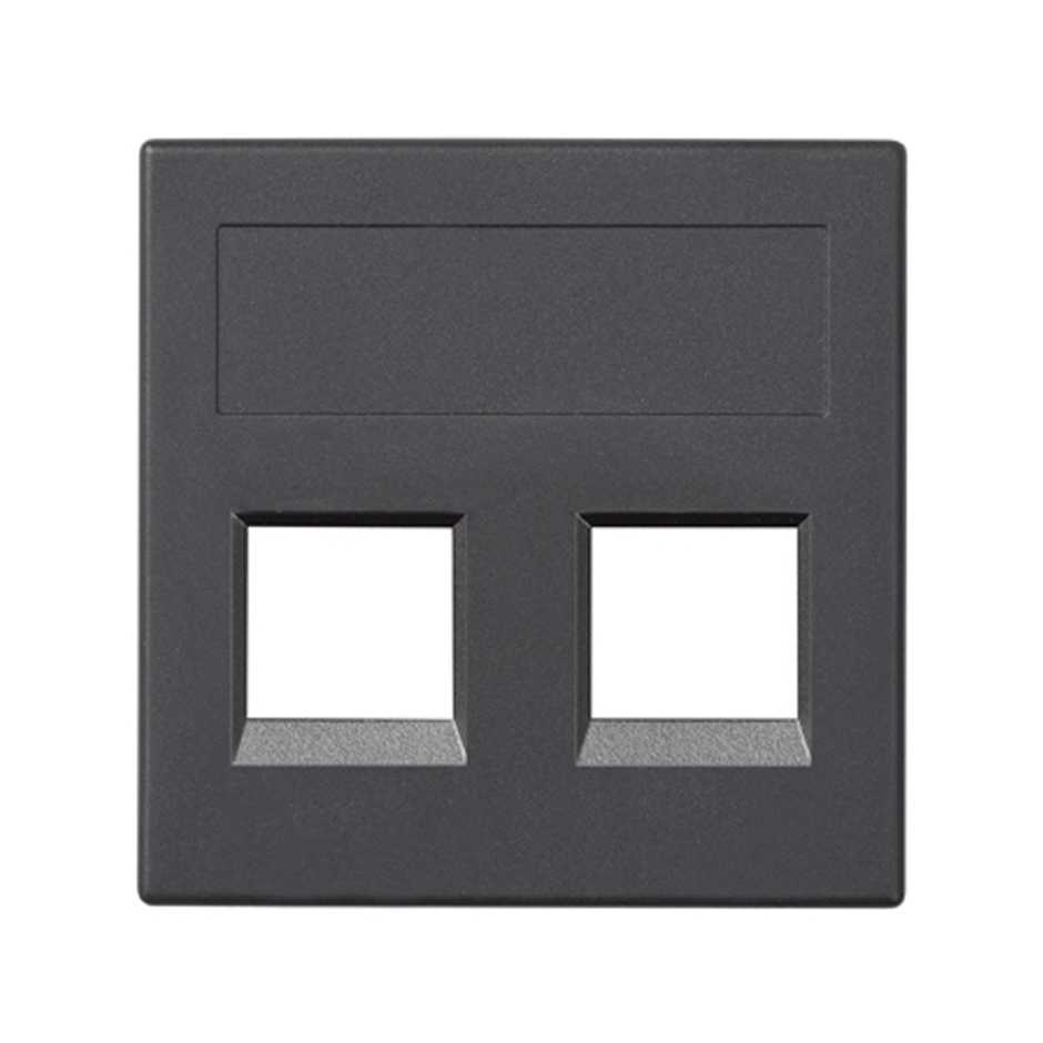 Plaque plate voix et données sans cache anti-poussière pour 1 élément pour 2 connecteurs RJ45 Infra+® graphite Simon 500 Cima