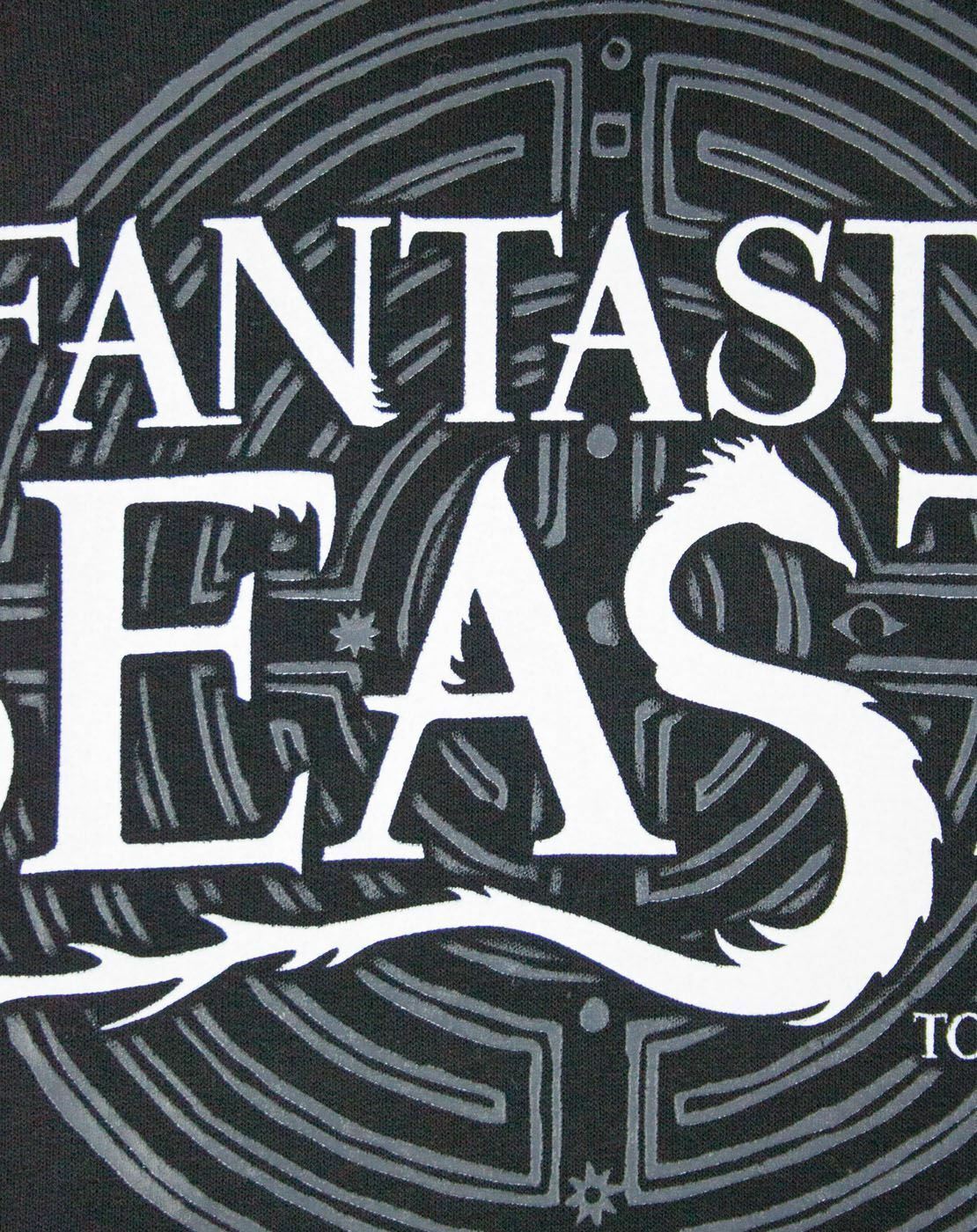 Fantastic Beasts And Where To Find Them Black Logo Hoodie Mens - Picture 9 of 26