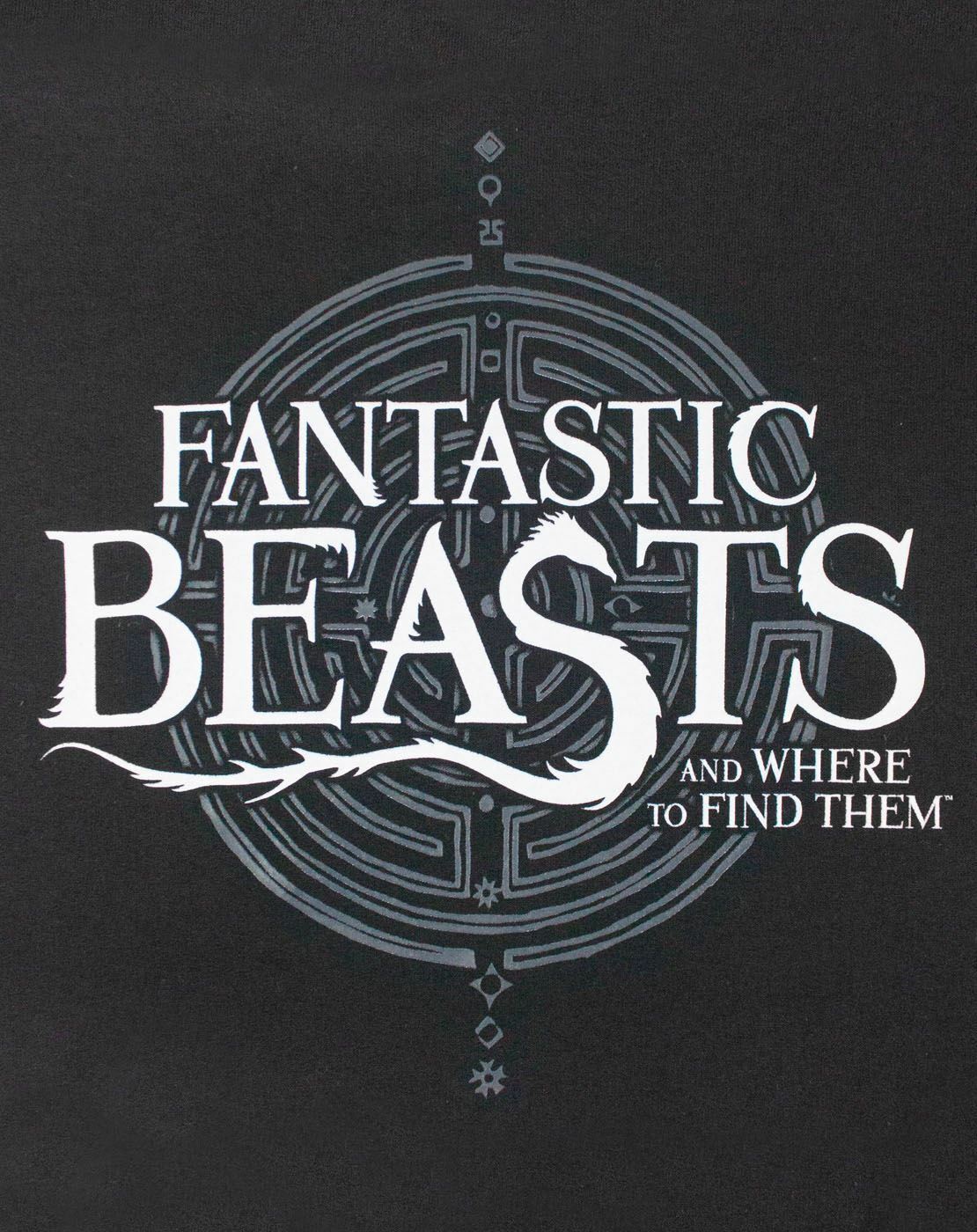 Fantastic Beasts And Where To Find Them Black Logo Hoodie Mens - Picture 8 of 26