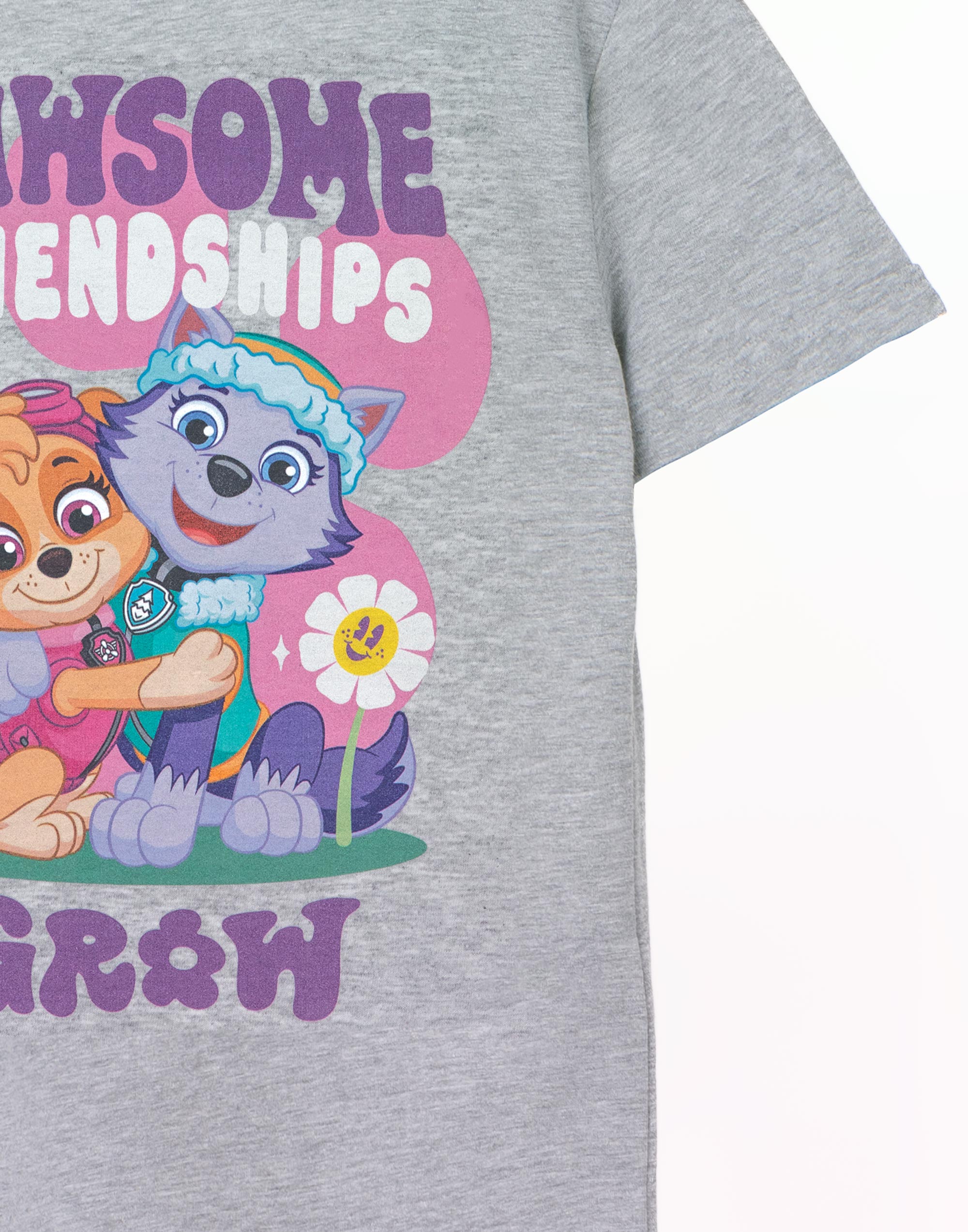 Camiseta Paw Patrol Gris Pawsome Friendships Manga Corta Unisex Niños - Imagen 14 de 25