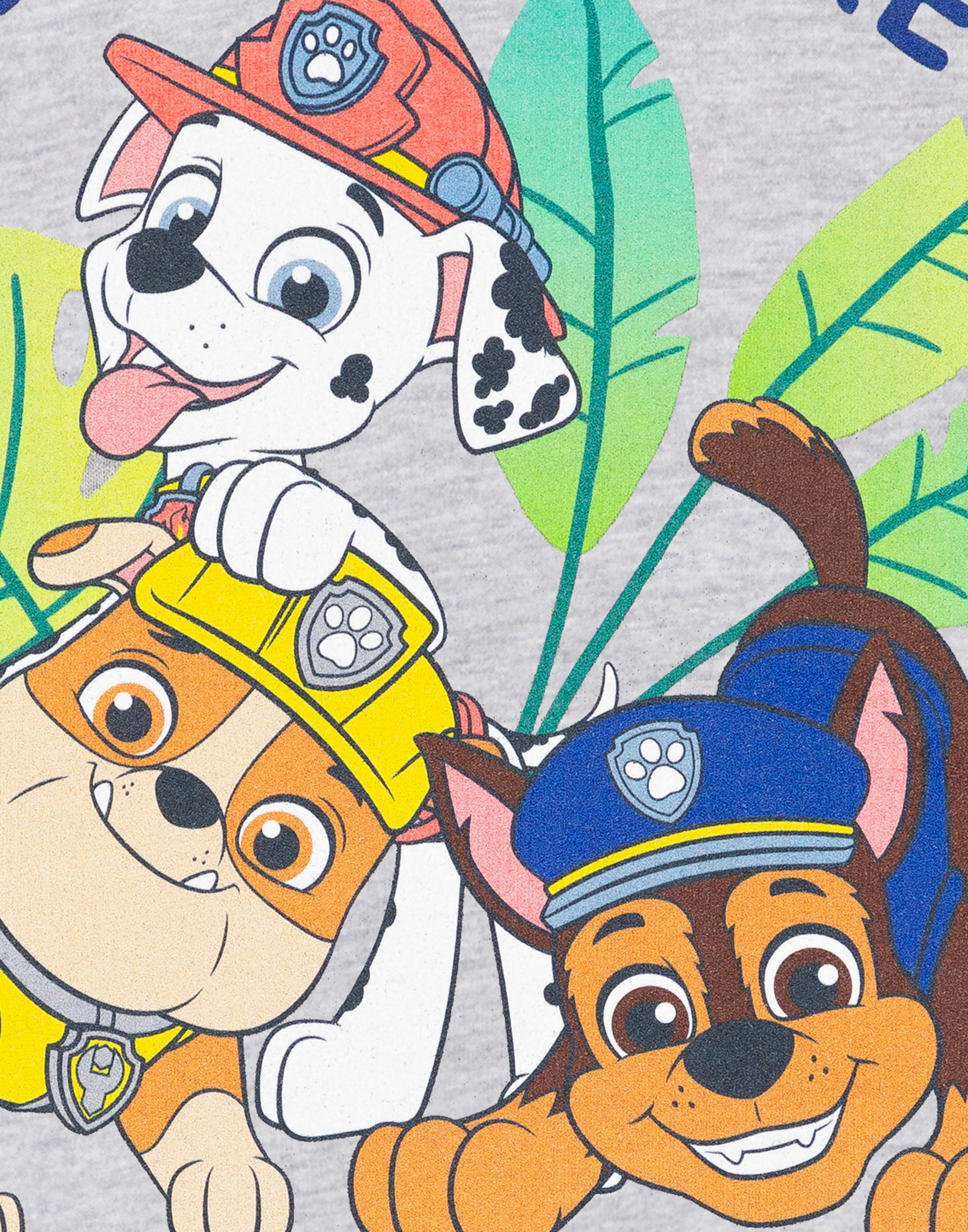 Paw Patrol Grey Advernture Squad Hoodie Boys - Picture 15 of 27