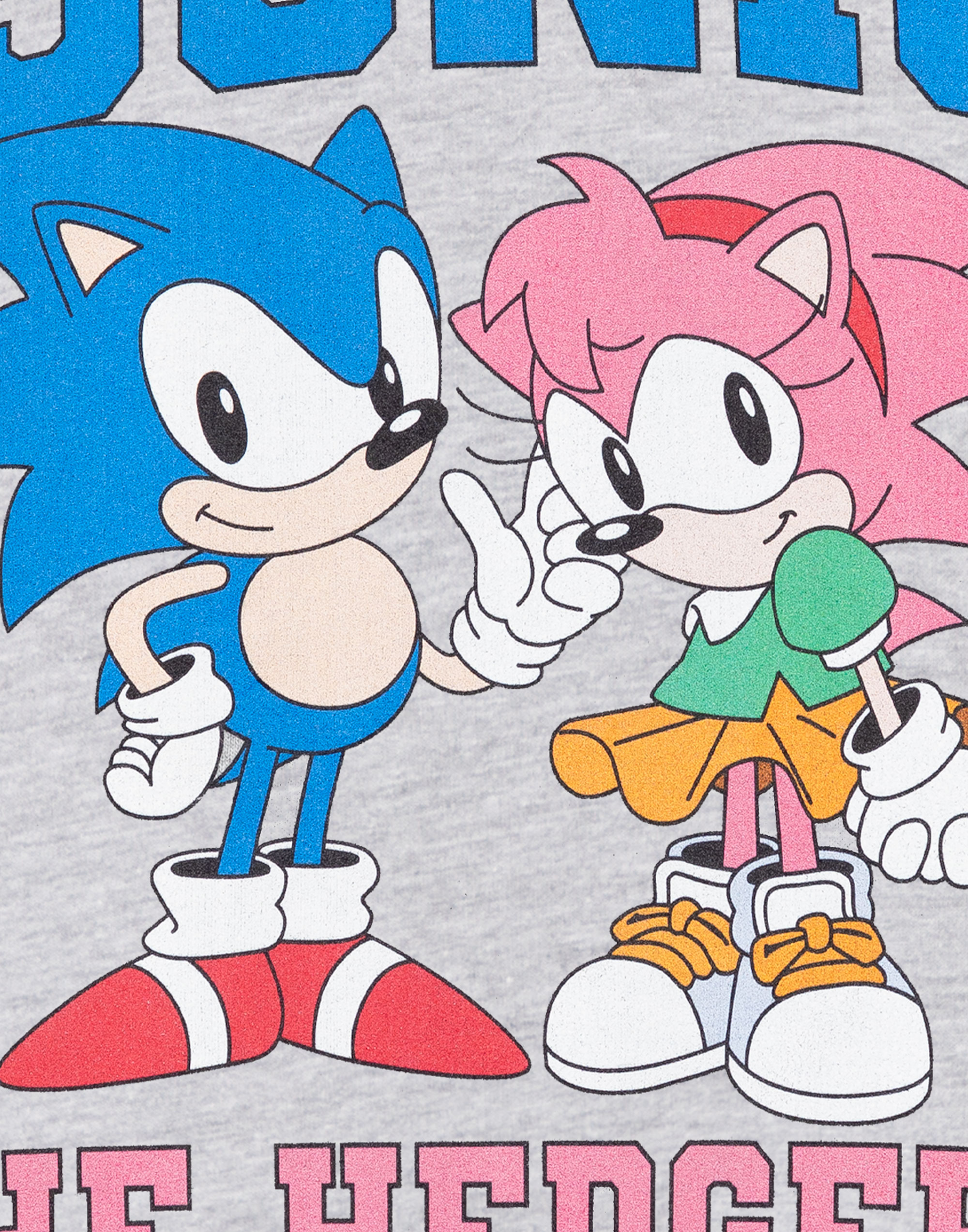 Sonic the Hedgehog Grey Collegiate Sonic & Amy Hoodie Girls - Picture 15 of 40