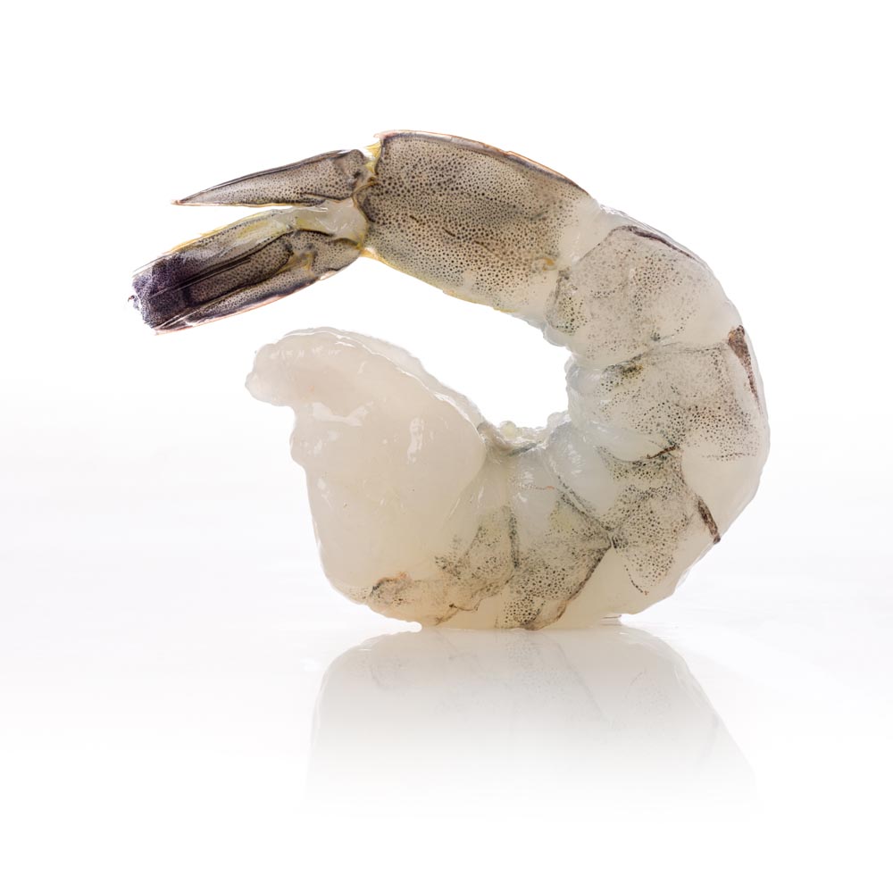 Shrimp, Chemical Free Peeled & Deveined Tail-on 16-20 Iqf | Chefs