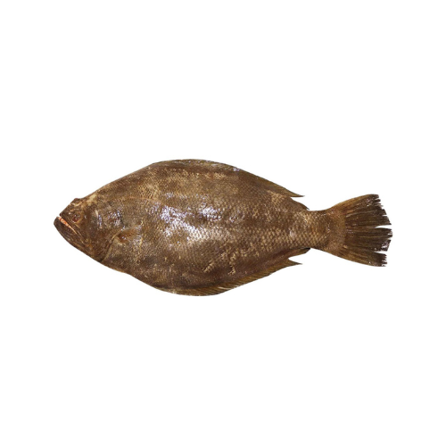 Sole Rack Fish Dover Sole Rockfish 600-800g