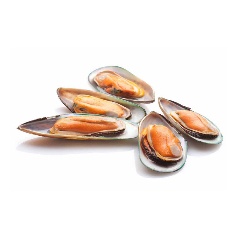 Frozen Shell Frozen Half Shell Mussels M
