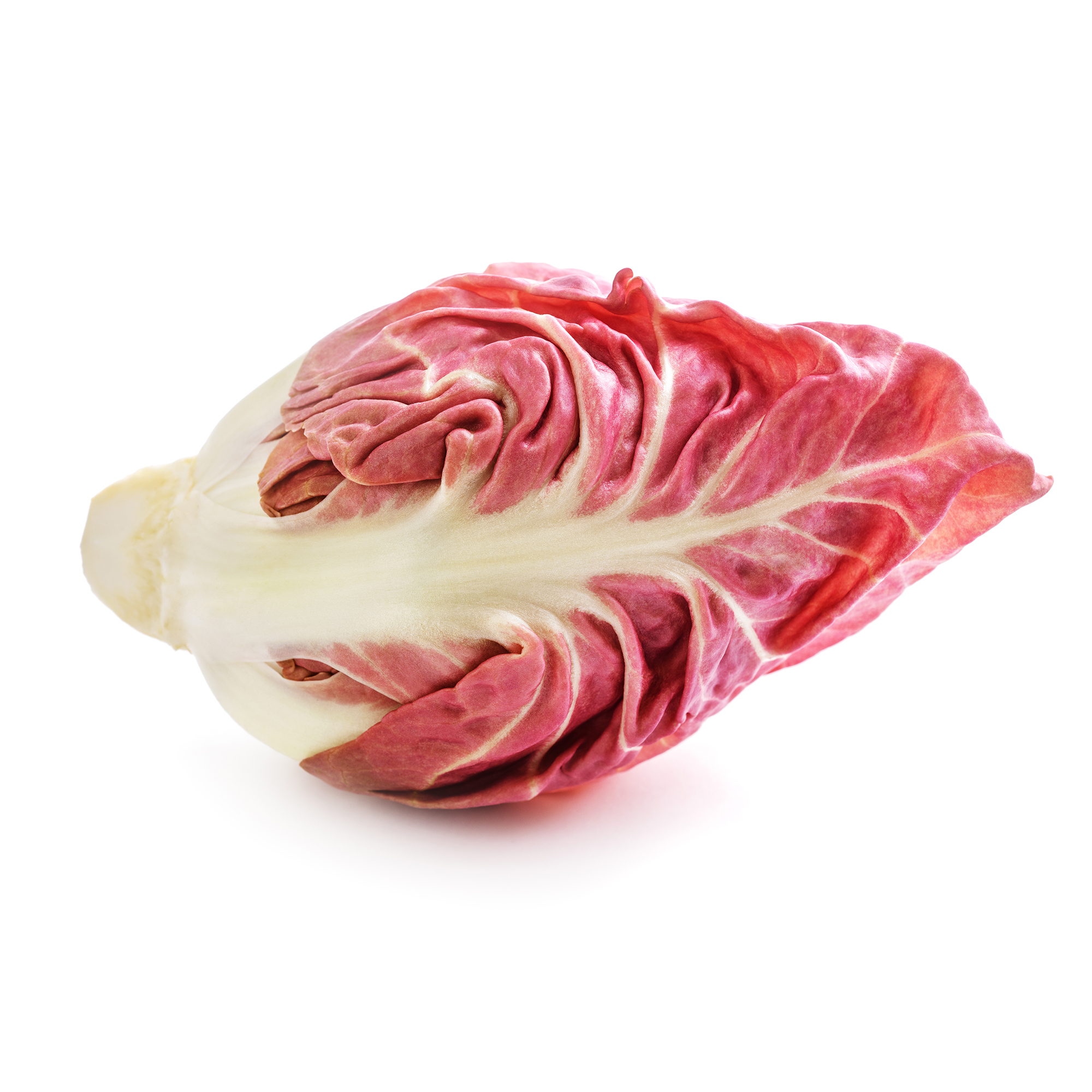 Raddichio Rosa Fresh Radicchio Rosa Di Veneto