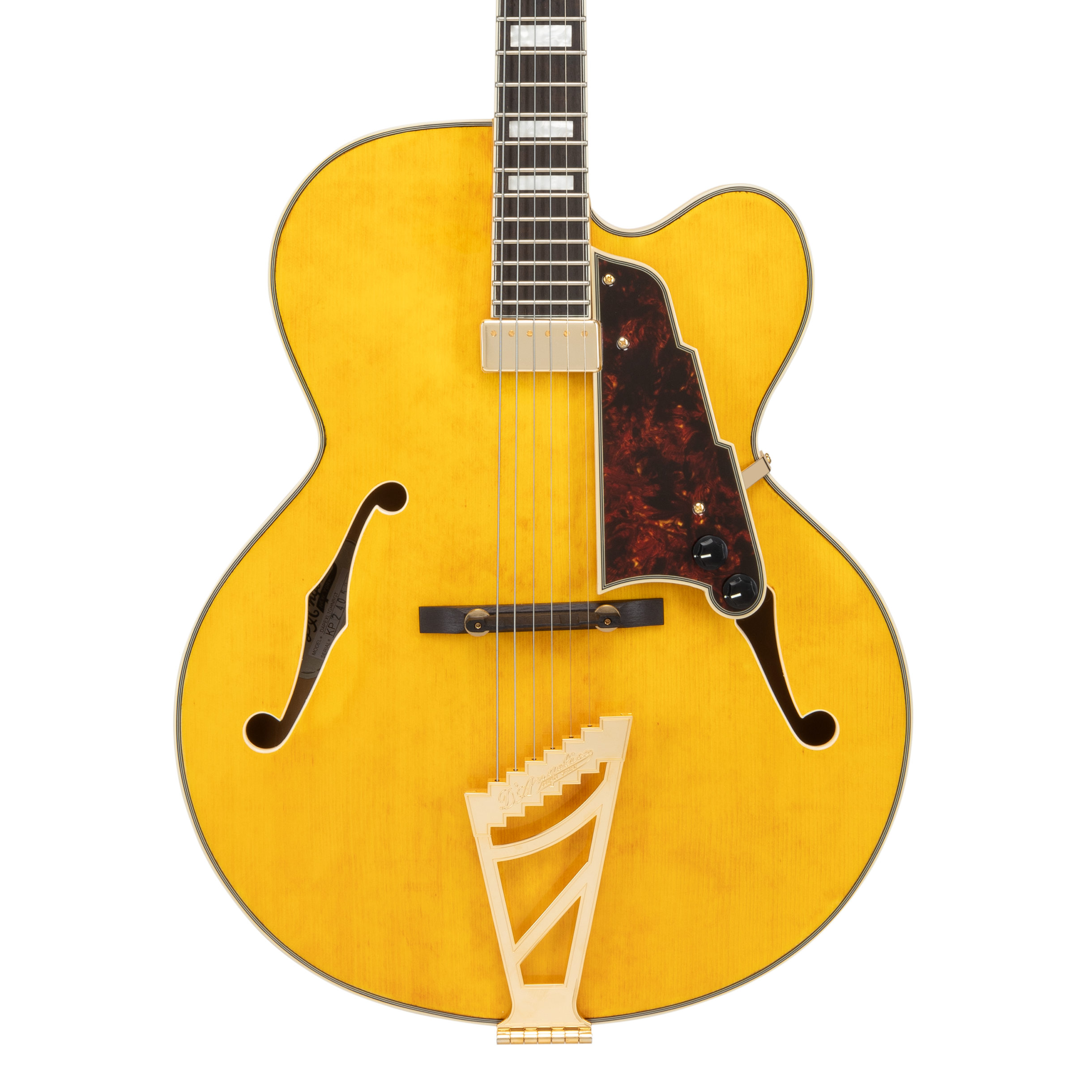 D'Angelico Premier EXL-1...