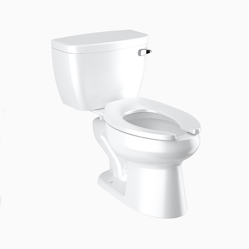 Sloan WETS-8009.8110