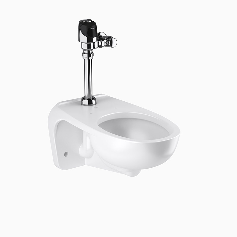 Sloan WETS-2451.1101