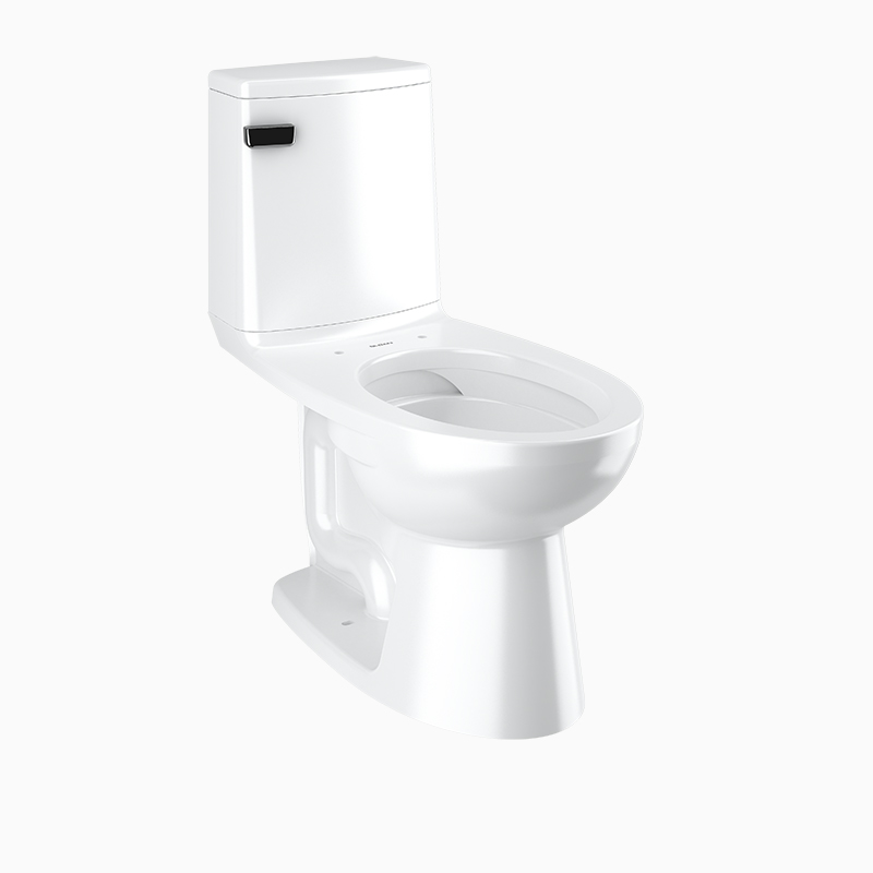 Sloan WETS-4009.4210