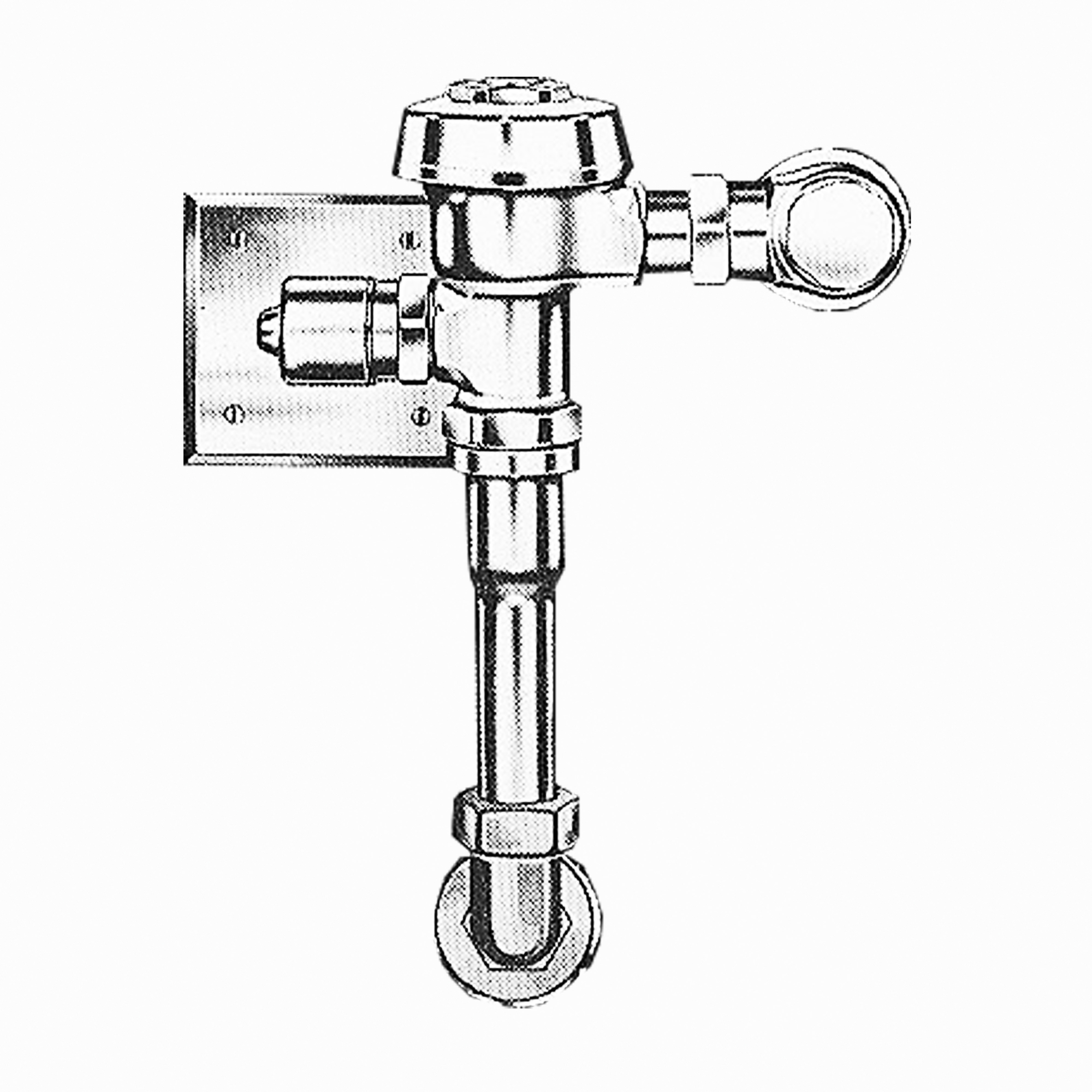 Sloan ROYAL 853-3.5-CP-V-HW-24V
